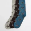 Chaussettes Pointer Dog Coffret cadeau Chaussettes Pointer Dog Coffret cadeau