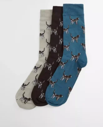 Chaussettes Pointer Dog Coffret cadeau