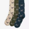 Chaussettes Pointer Dog Coffret cadeau Chaussettes Pointer Dog Coffret cadeau