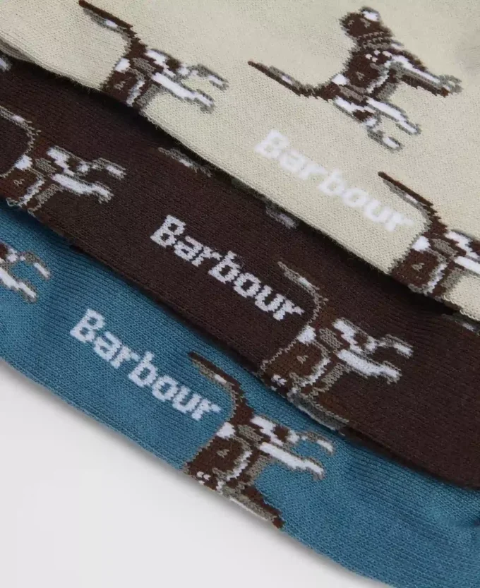 Chaussettes Pointer Dog Coffret cadeau Chaussettes Pointer Dog Coffret cadeau