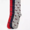 Coffret cadeau de chaussettes Pheasant Coffret cadeau de chaussettes Pheasant